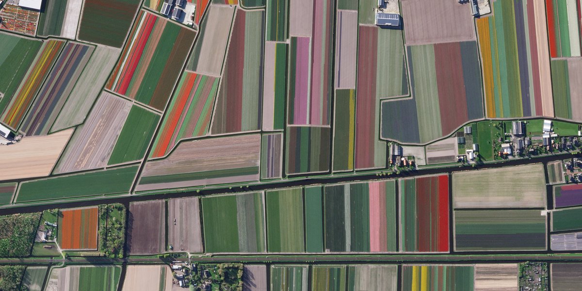 Does life imitate art or art imitate life? The answer probably depends on who you ask. Either way we think it makes sense that a country known for its famous painters has tulip fields that appear as colorful canvases from above.