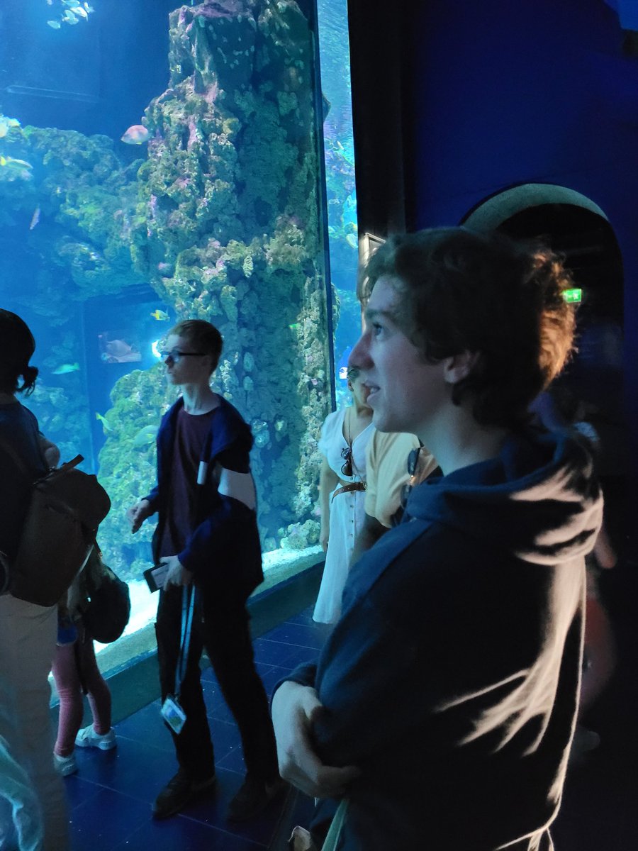 CatherineNLove's tweet photo. @MonacoTrip @DownendschNews Amazing musée oceanographique. Nemo well and truly found. https://t.co/5UaWxJFjpR