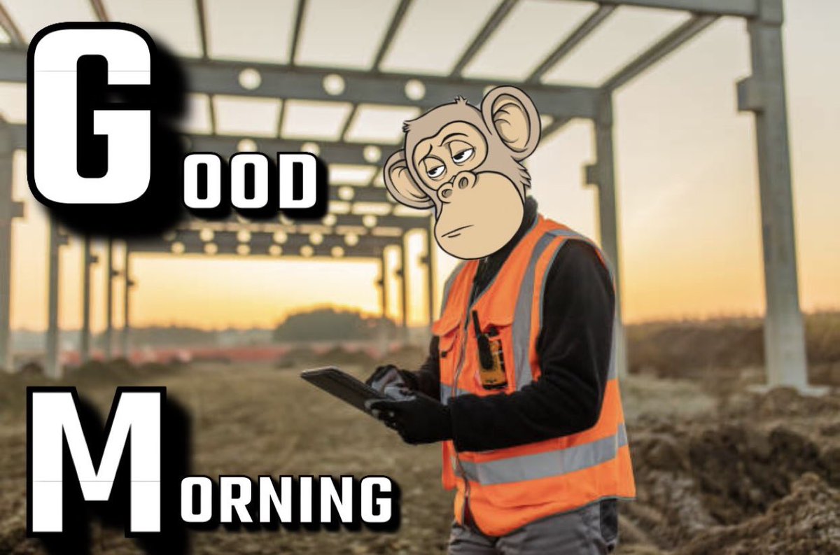 Good Morning Monkas☕️