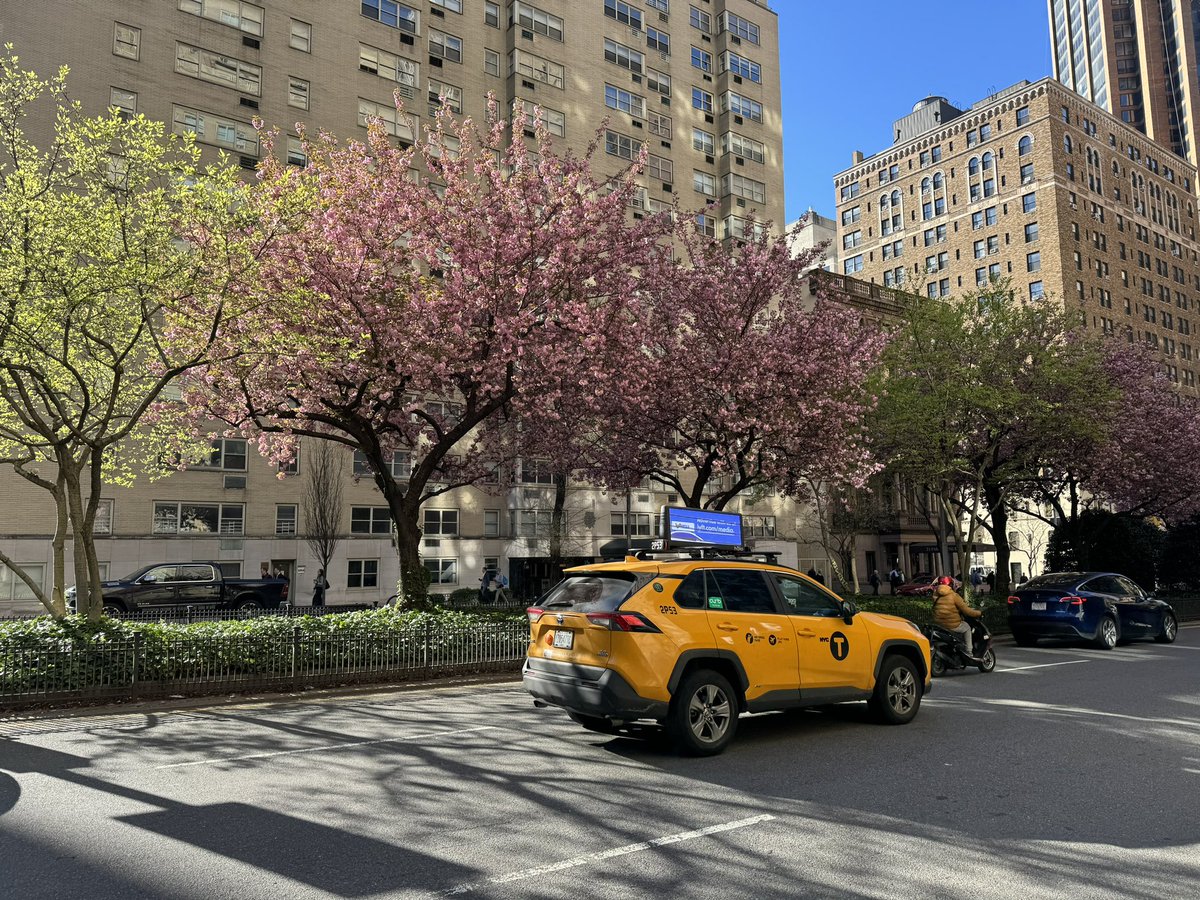 In #NYC Spring really is the most wonderful time of the year