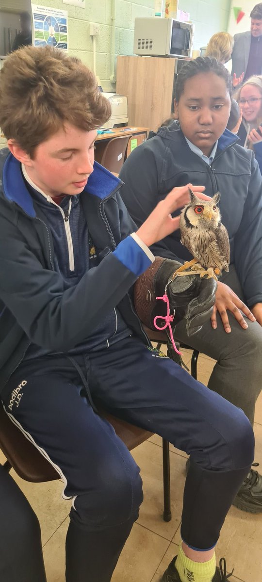Great excitement from students and staff in @stjosephsrush today 💙 Huge thanks to Colin for teaching all our 2nd years about different species of owls and birds of prey 💙 @RoisinMcGowan42 @KielyEmer @TYSTJRush @JudiOBoyle @ciaranreade
