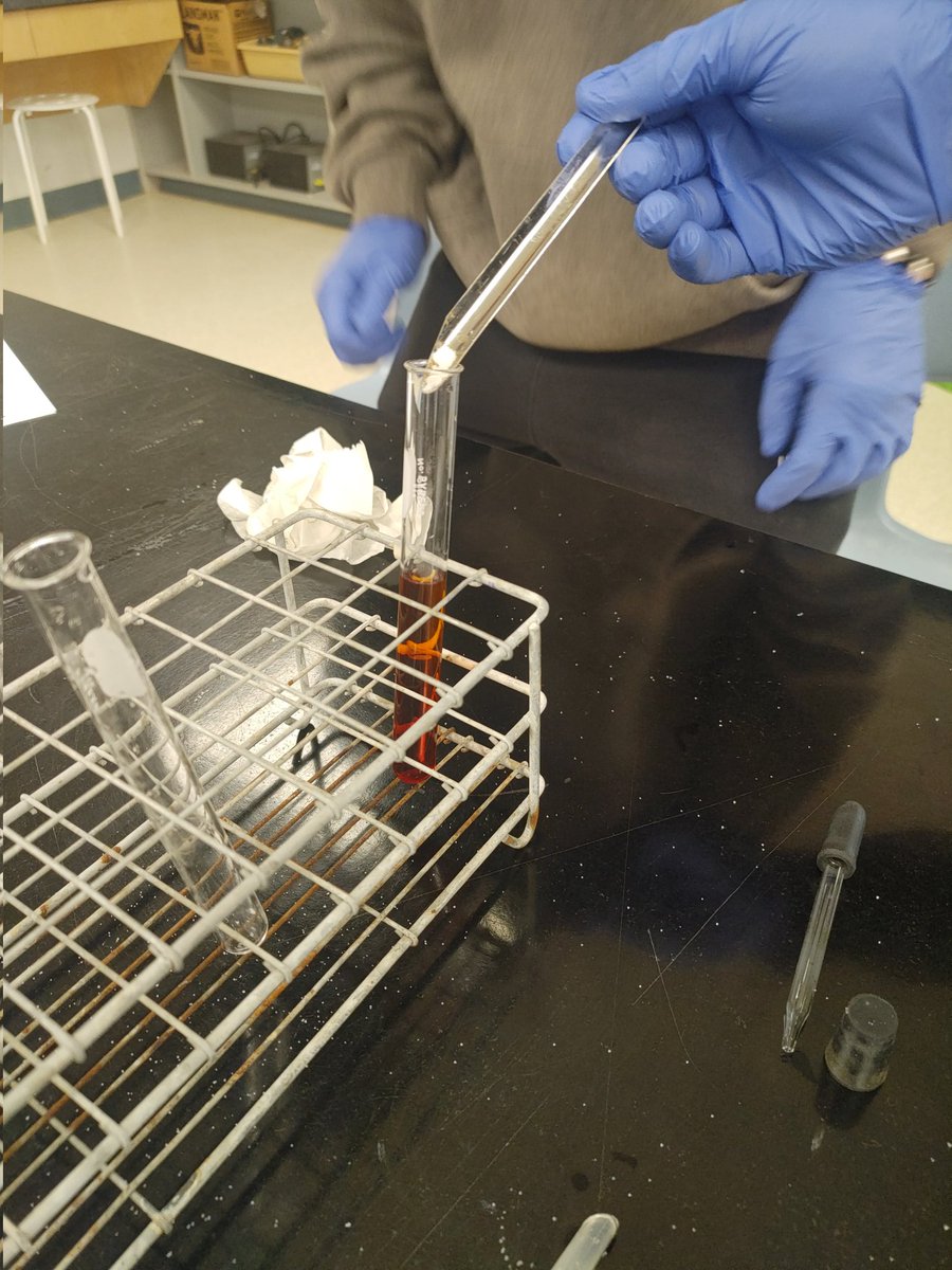 Angie Angle tweet media