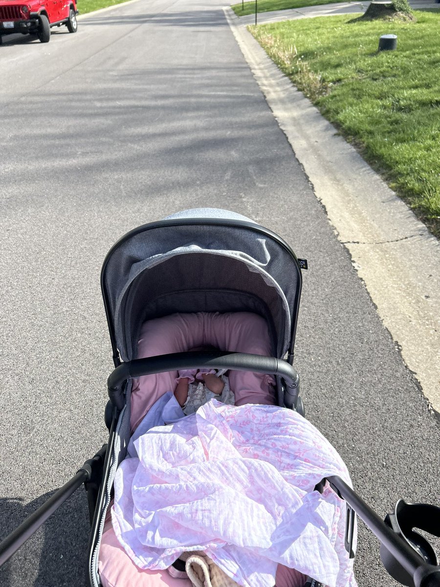 CarnivoreFit's tweet photo. Getting my steps in by taking my daughter for a walk around the neighborhood. https://t.co/BGlBxyIdtf