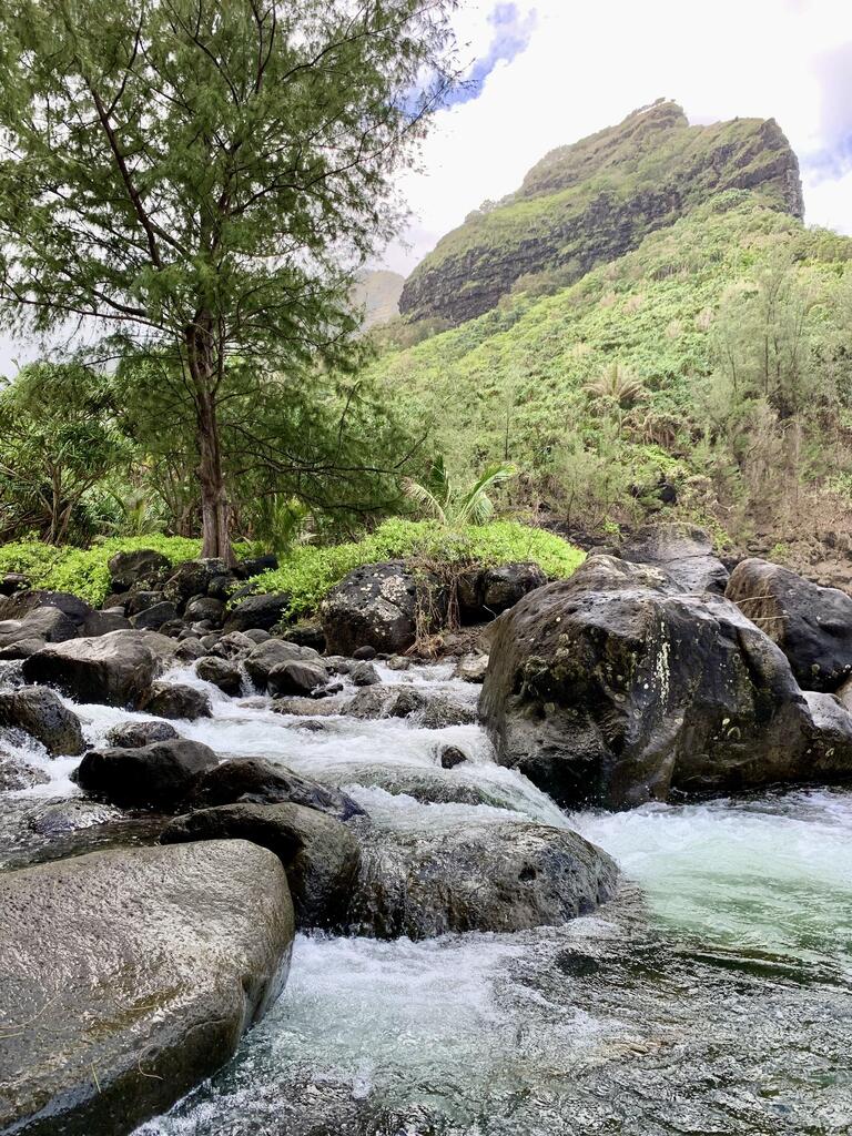 Enjoy #OurEarthPorn! (Steal This Hashtag for your own and join the community of Nature Addicts! ) At the foot of Hanakapi’ai Beach, Hawai’i [OC] [3024 x 4032] Photo Credit: Friendlydesiwife .