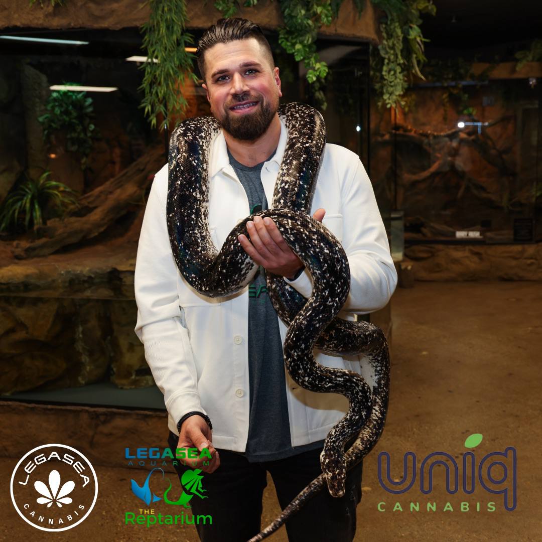 UniqMonroe's tweet photo. Please join the LegaSea Cannabis, The Reptarium and the LegaSea Aquarium crew for our very first vendor day mingling with sloths, alligators and capybara and many more creatures from The Reptarium. 2-6pm at Uniq in Monroe, MI. See you there! https://t.co/LPvGMHVHB7
