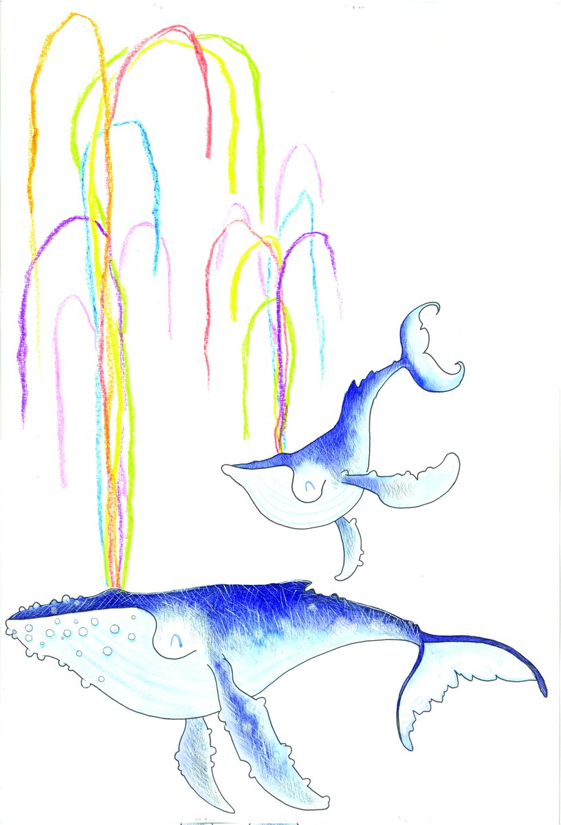 RAINBOW WHALES keep our seas clean #childrensbookillustration #picturebookillustration #childrenspublishers #picturebook #childrensbooks