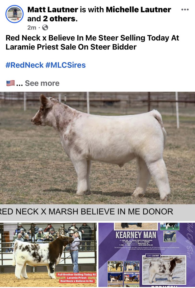 mattlautner tweet picture