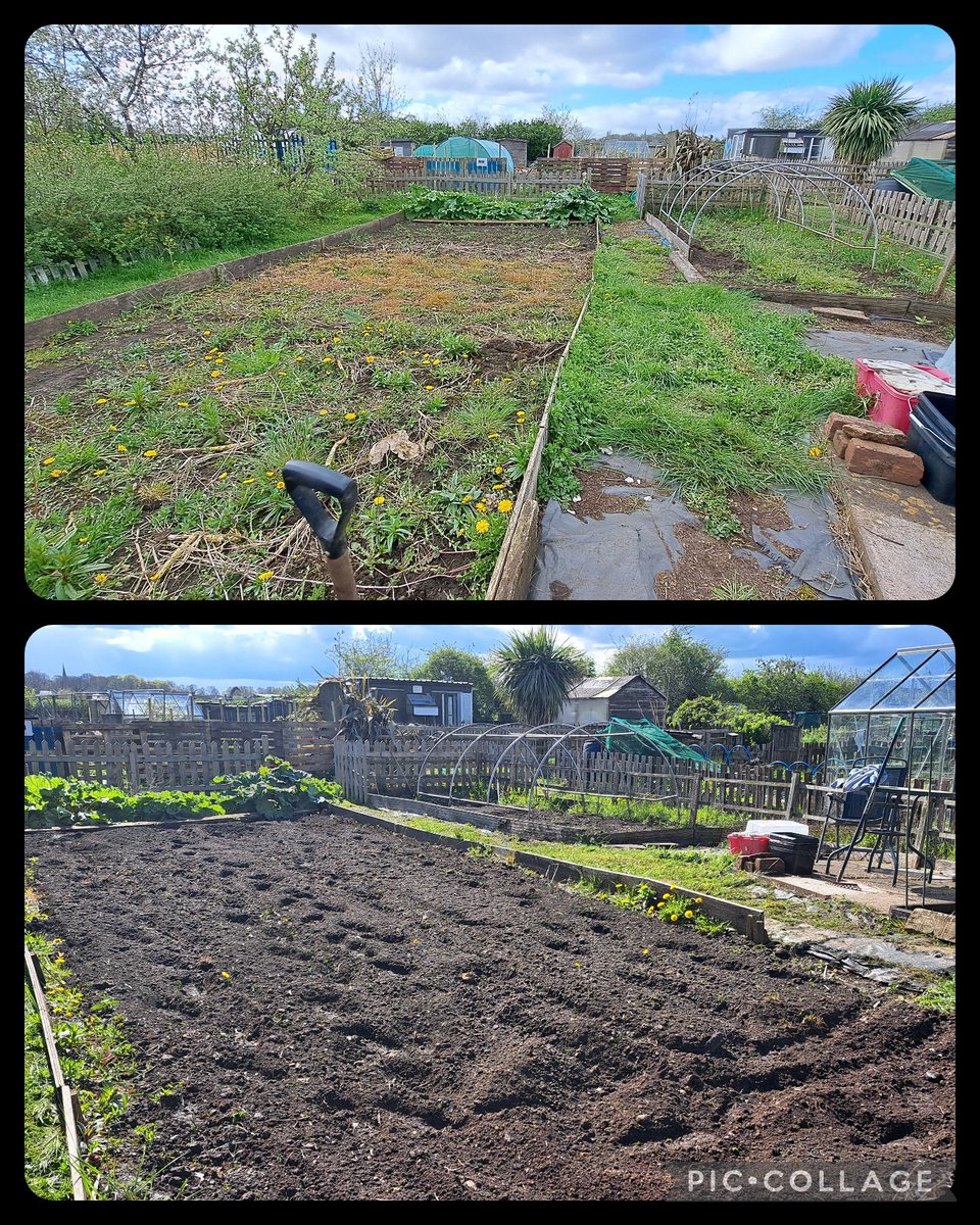 Fabulous afternoon spent on the allotment, weeding, mowing and getting seeds in. Nothing better for mental health and well-being xx