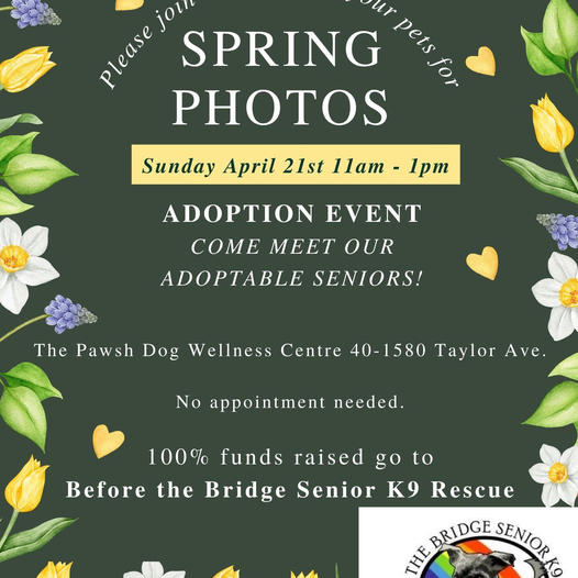 Hey #winnipeg! .@BTBSK9Rescue #spring #photos #fundraiser & #dogs #Adoption #EVENT 

#host @PawshDog Taylor Ave.

Sunday 4/21, 11 AM - 1 PM

#AdoptDontShop #AdoptDontBuy #AdoptAShelterPet #adoptaseniorpet #AdoptAShelterDog #pets 

facebook.com/events/8061761…

facebook.com/BeforeTheBridg…