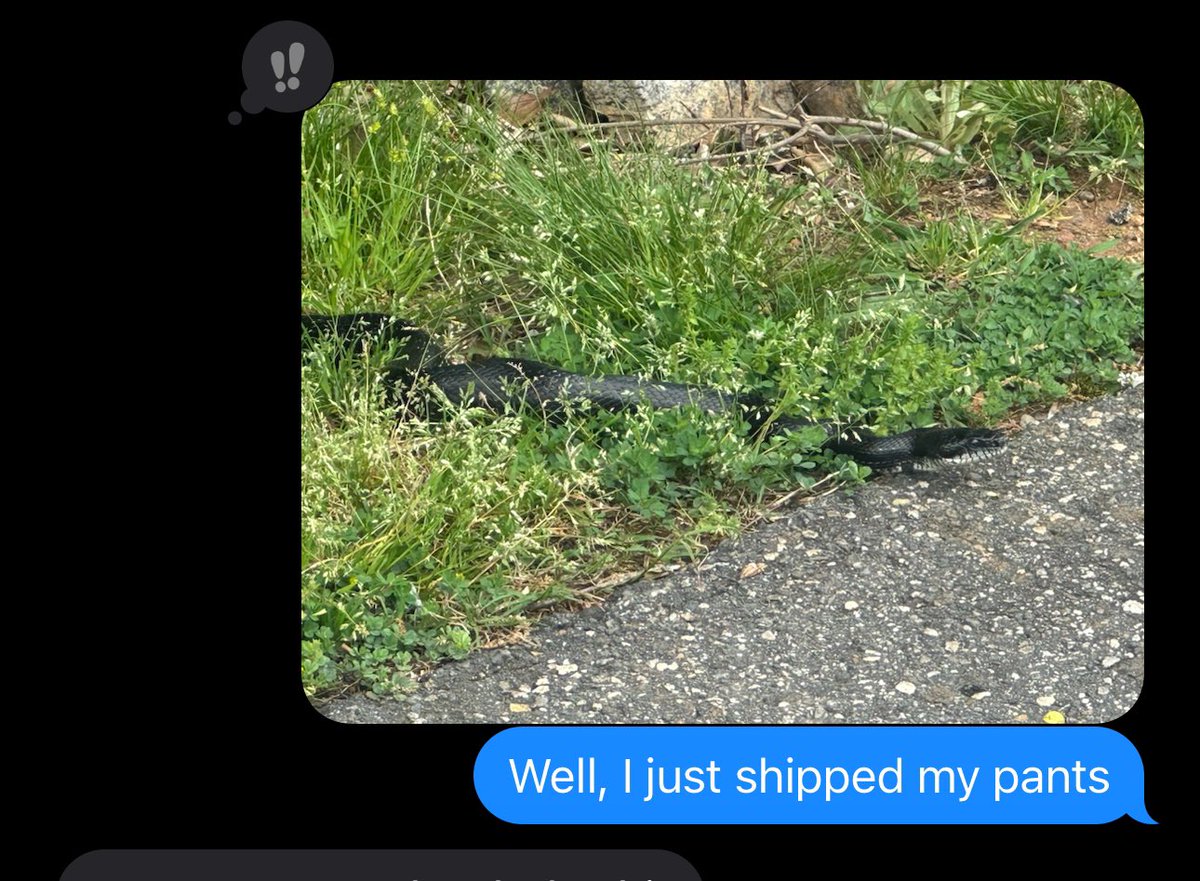 iamtheratio tweet media