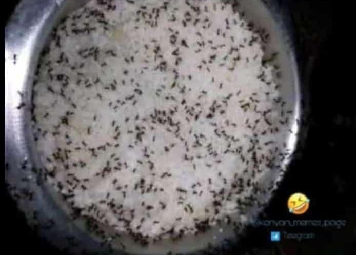 Ilikuwa nikule hii rice plain lakini Mungu naye ni nani😂