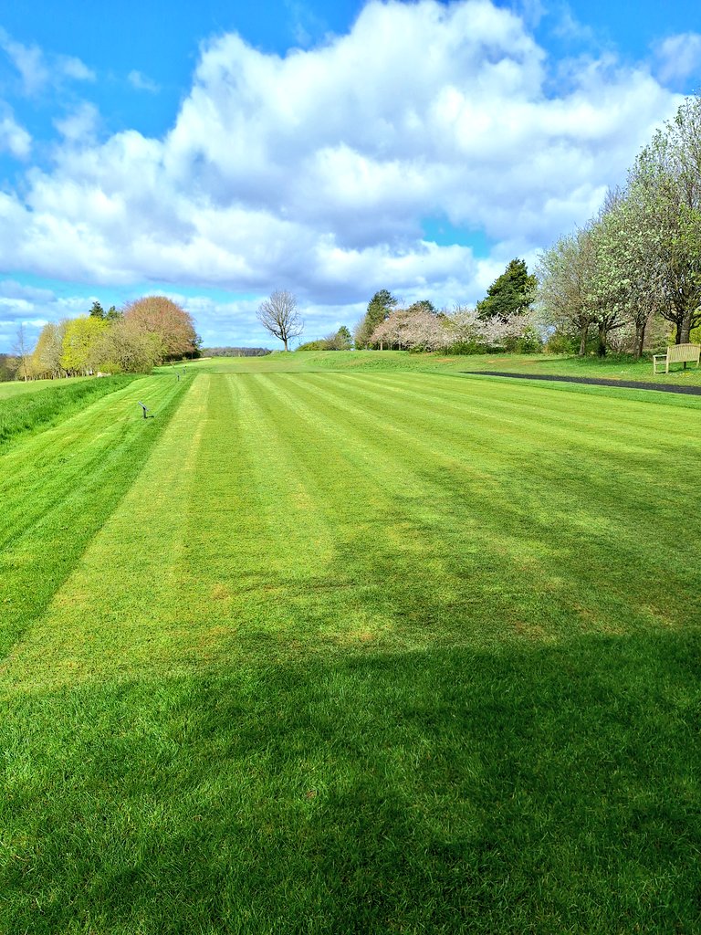 ride da riddims tweet media