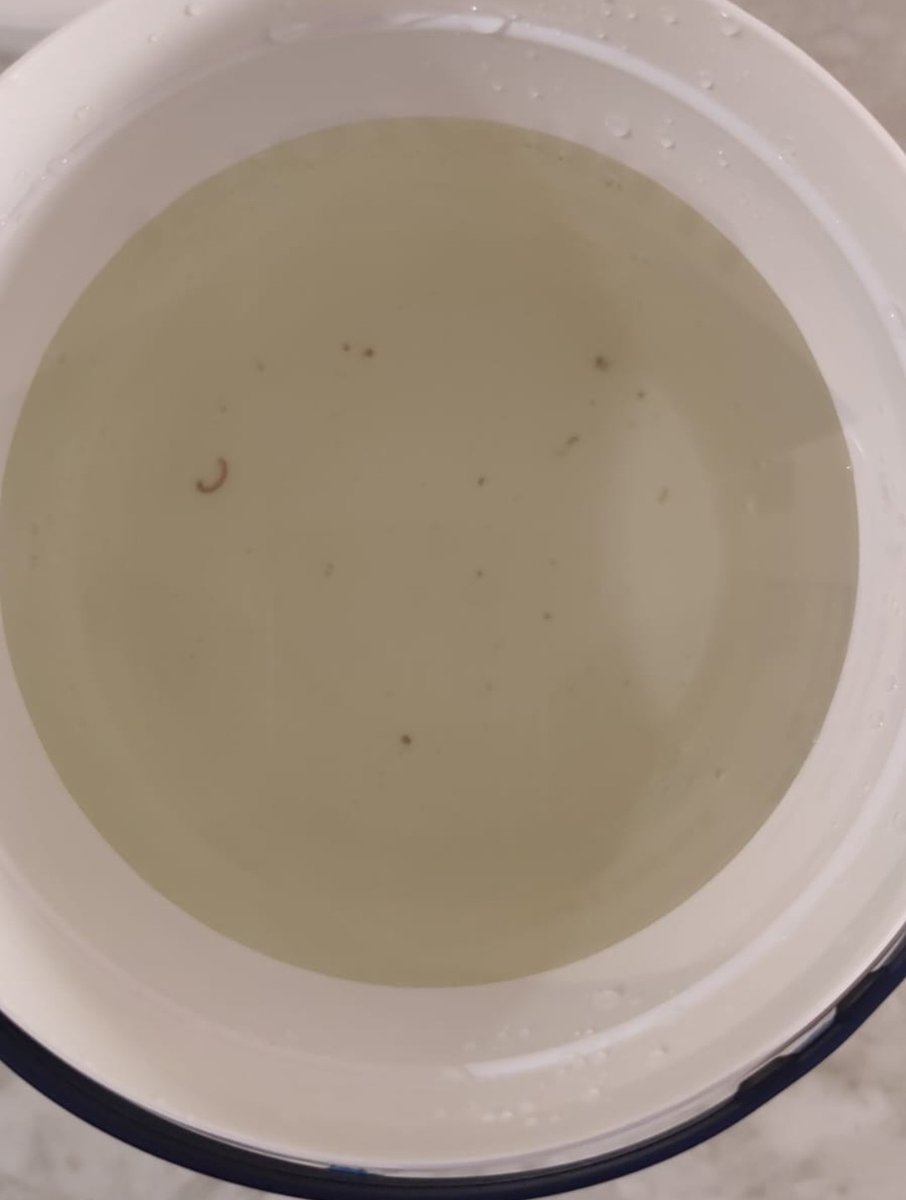 kartikk1shah's tweet photo. They are telling themselves biggest in the industry in Pune, But they cannot provide basic human needs #water. Actual face of #vtp @VTP_Realty #vtpbluewaters. Bad Quality of Water. Worms ๐ชฑ in water. Pathetic Service by #vtp.
@BalwadkarAmol #pmc #poorwater @ThePuneMirror @PunePmc https://t.co/85as982Zqp