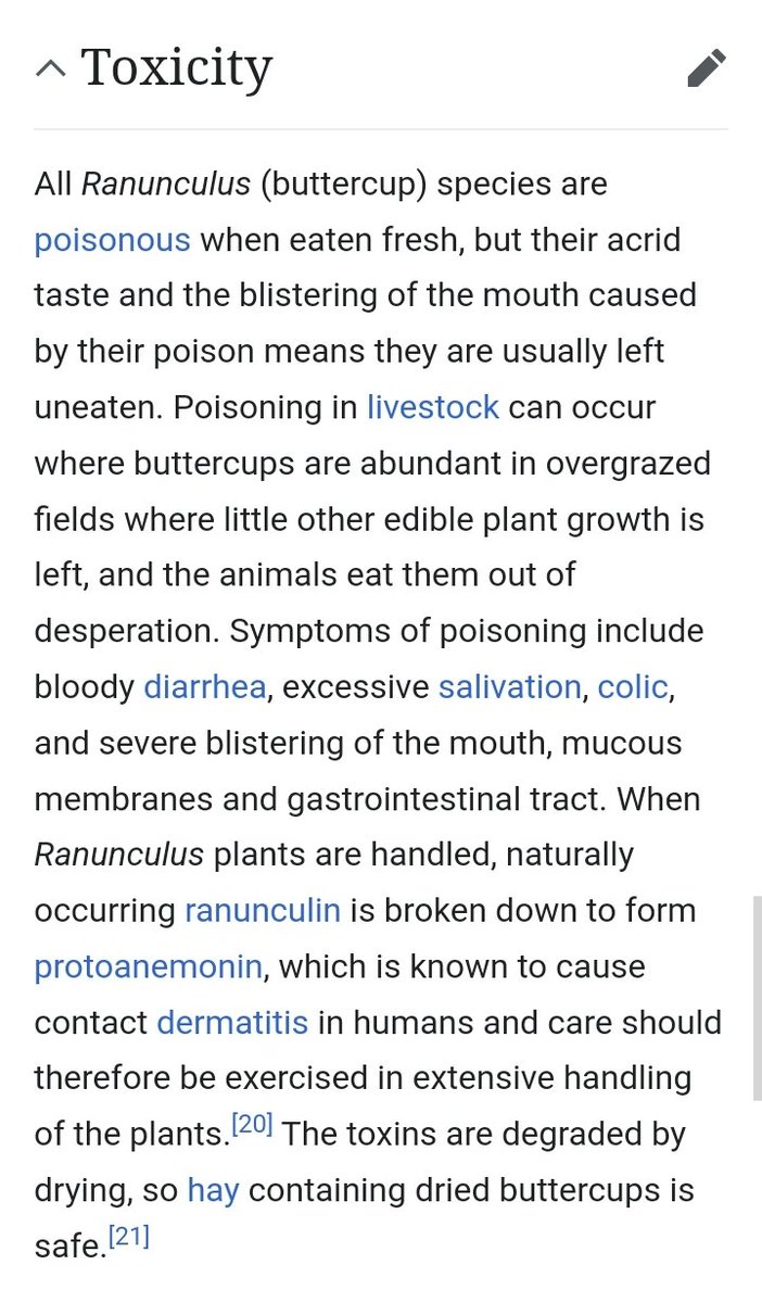 dailytobytrivia's tweet photo. The consumption of buttercup flowers (stated to be how Chara poisoned themselves) causes "bloody diarrhea, excessive salivation and severe blistering of the mouth, mucous membranes and gastrointestinal tract" 
This means that Chara likely spent their last days with diarrhea https://t.co/zGRuCGgxwG