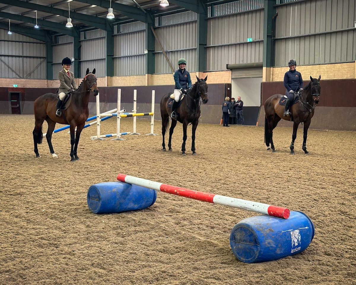 Three Gold Cup winners! 🏆🏆🏆 🥇 A PLUS TARD 🥇 AL BOUM PHOTO 🥇 SIZING JOHN All now enjoying new careers showing, showjumping & eventing with riders Emily-Kate Robinson, Louise Duffy & Esib Power. @TreoEileRIR | @WINforRacing | @RACEIreland