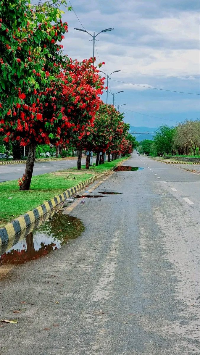 WayToDiscover36's tweet photo. Islamabad https://t.co/0pv519RJhk