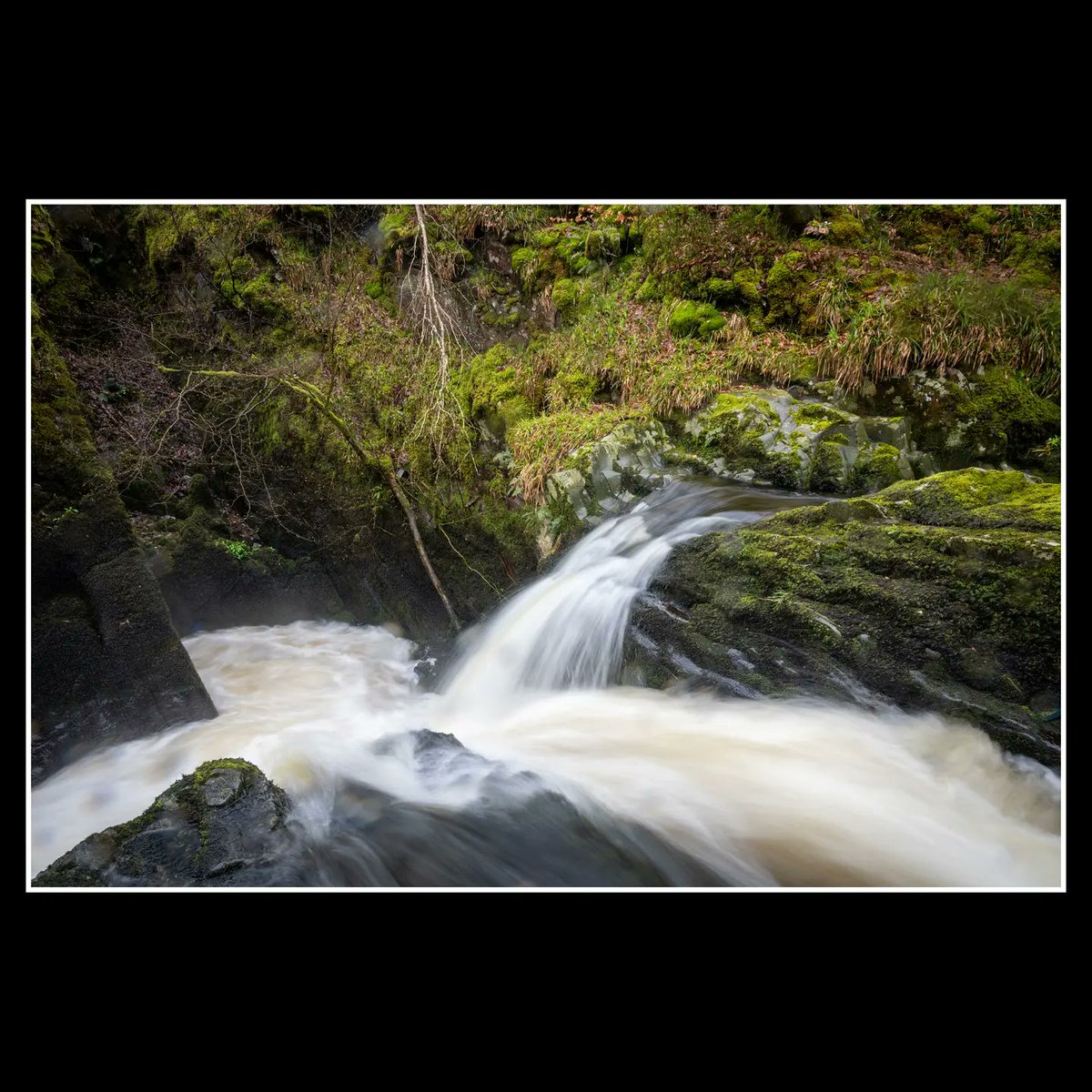 Here are a few images of a lovely waterfall  from our recent trip to Scotland (if you like that sort of thing). 😊

#waterfall #dumfriesandgalloway #dumfries #forest #scotland #landscapephotography