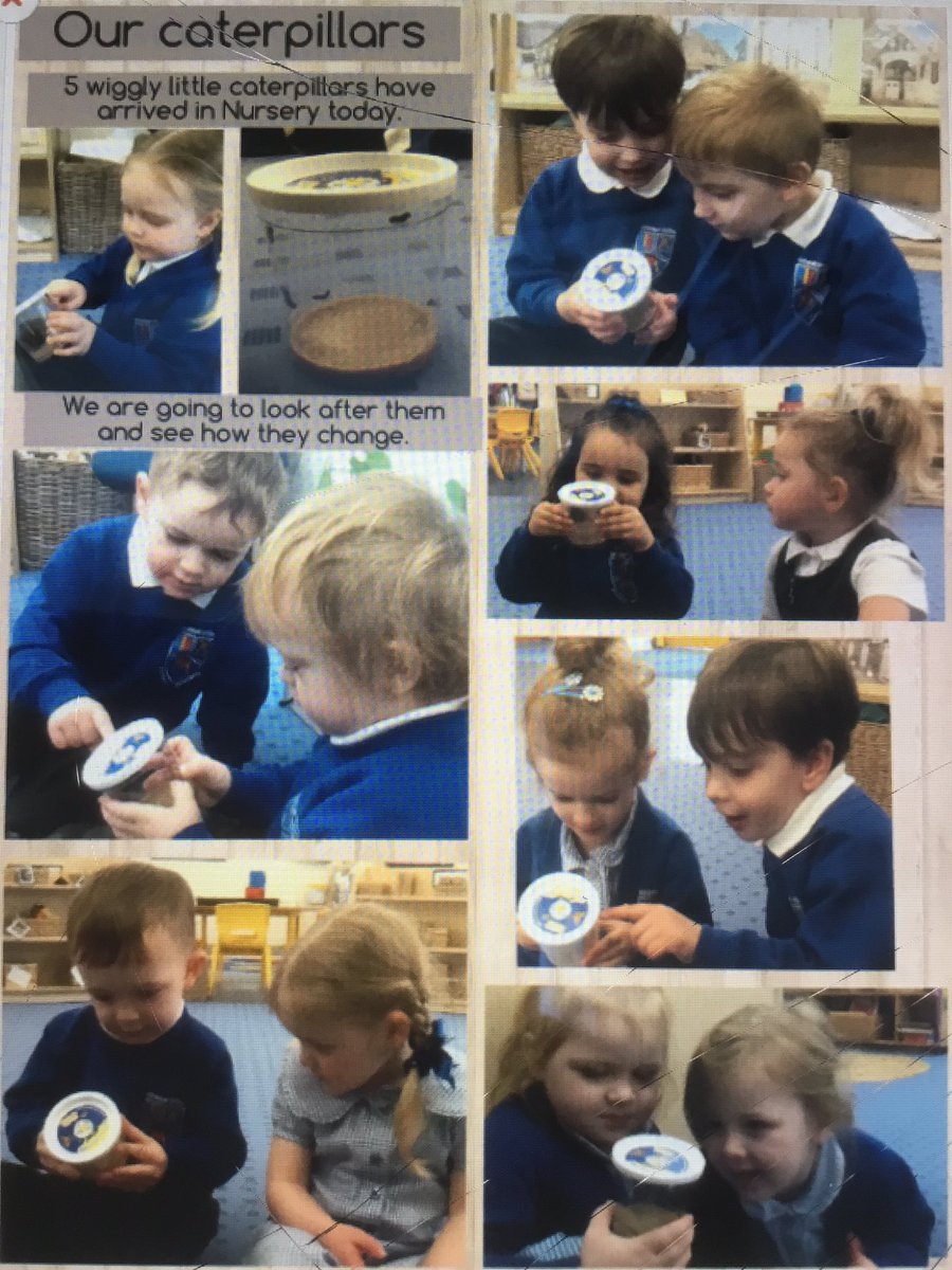 Look at our new arrivals in Nursery! 🐛🐛🐛🐛🐛 #WWPAEYFS #WWPASCIENCE