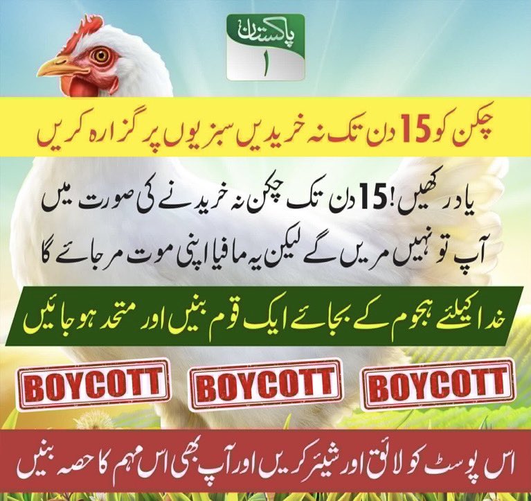 پاکستان میں بائیکاٹ چکن مہم کا باقاعدہ آگاز !!! #pakistan1 #chicken #chickenprice #farming #pakistantv #boycott #chickenboycott #chicks #chickenfarming