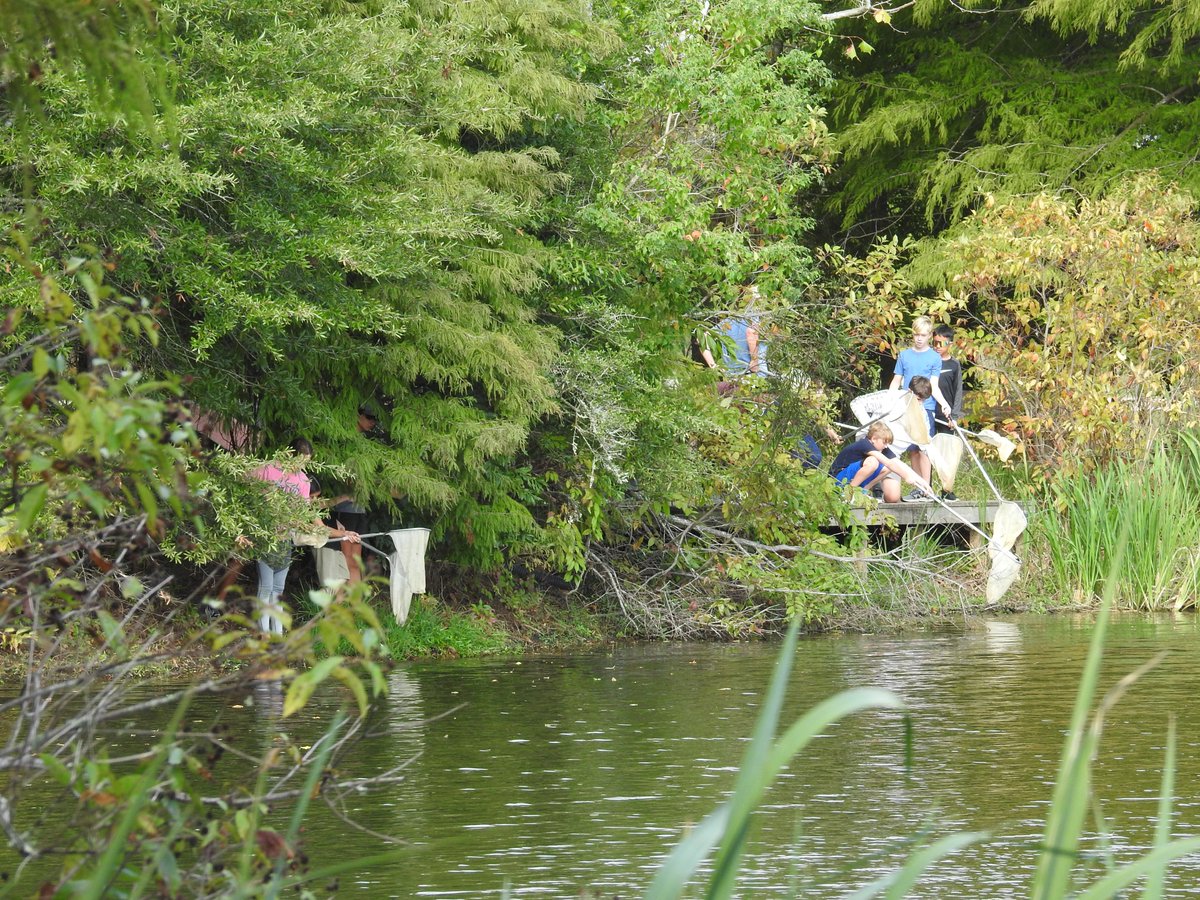 A day at EcoCamp blends nature exploration with active outdoor experiences under the guidance of knowledgeable educators. Kids unplug from tech and connect with nature in fun camps. Registration now open abnc.org/ecocamps
#summercamp #STEM #environmentaleducation