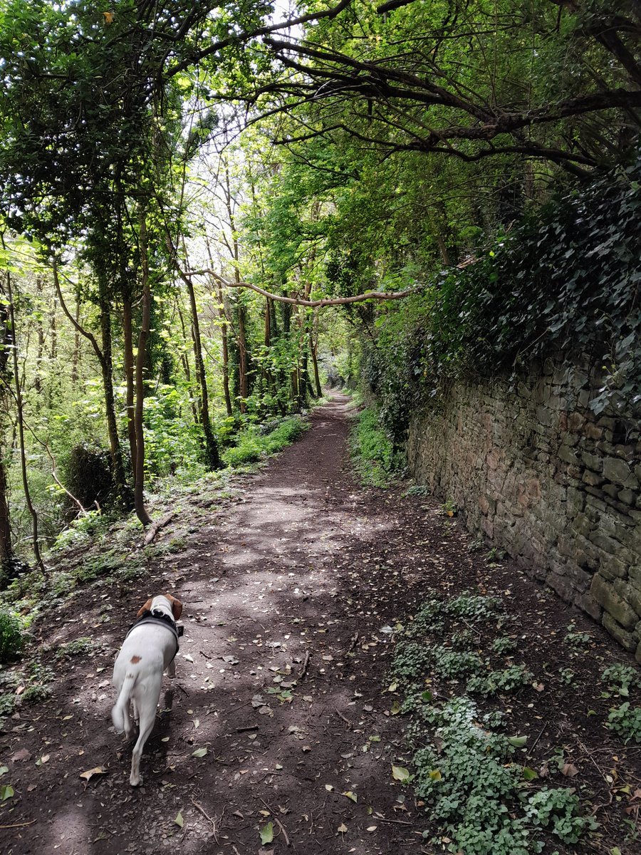 Nice early morning for a walk along river froom