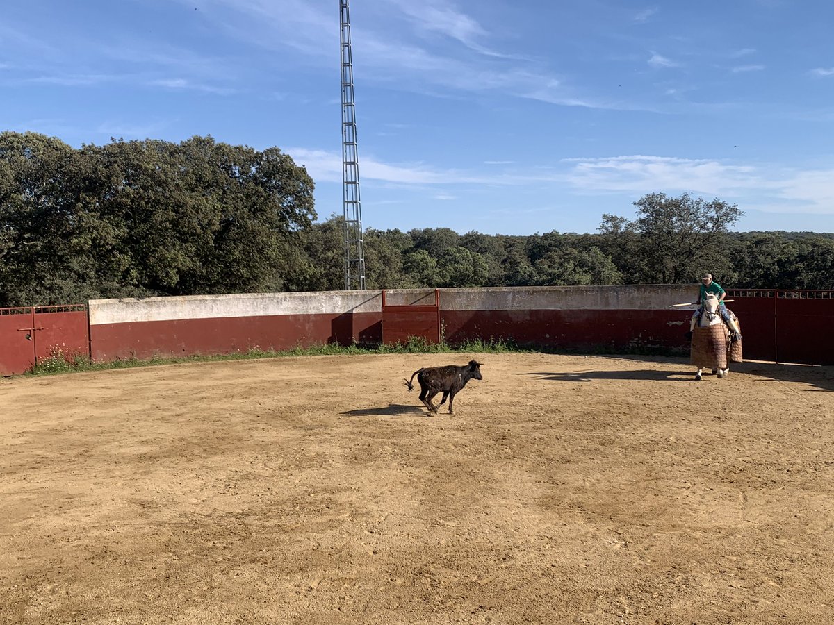 David Lorente tweet media