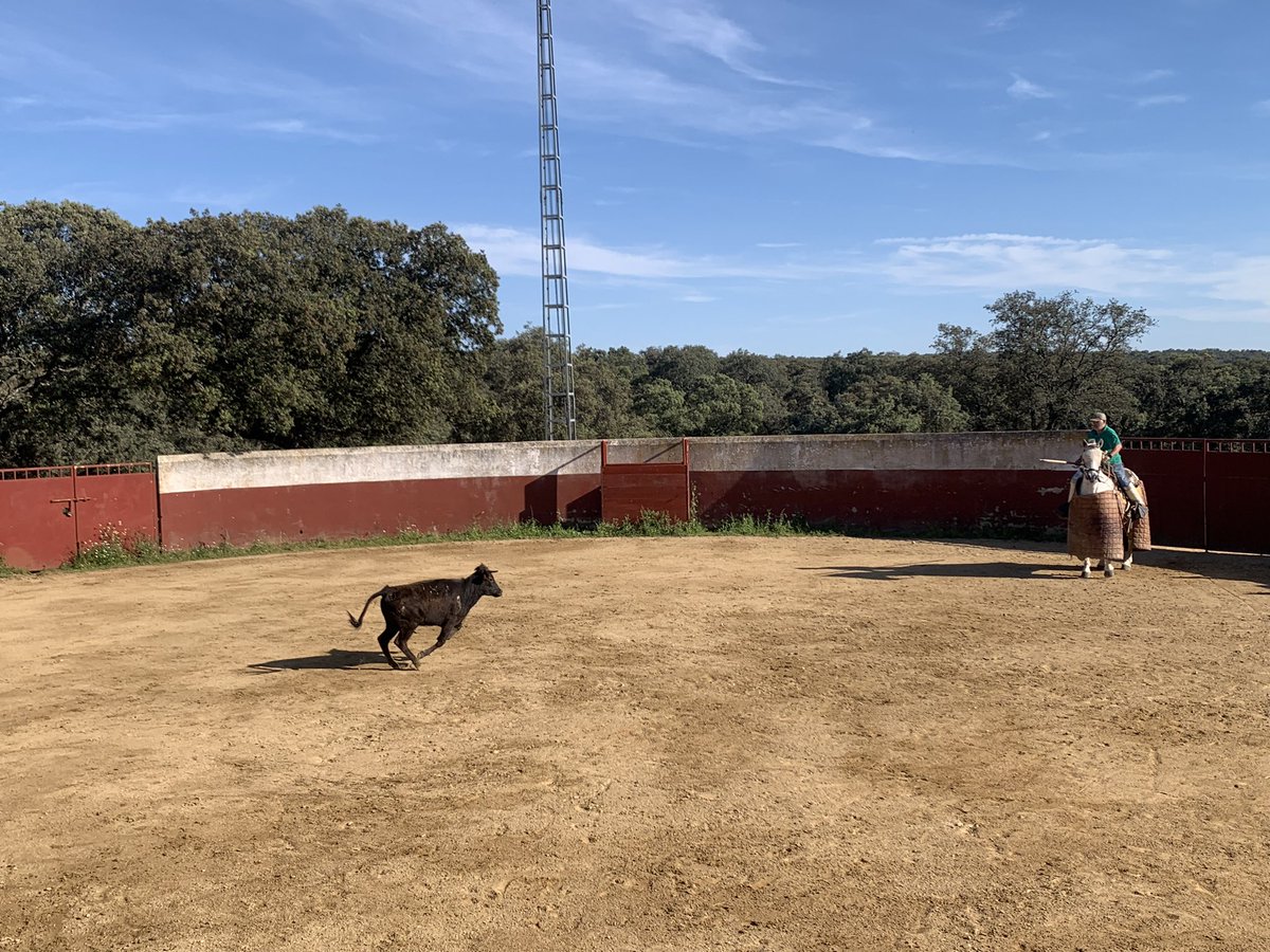 David Lorente tweet media