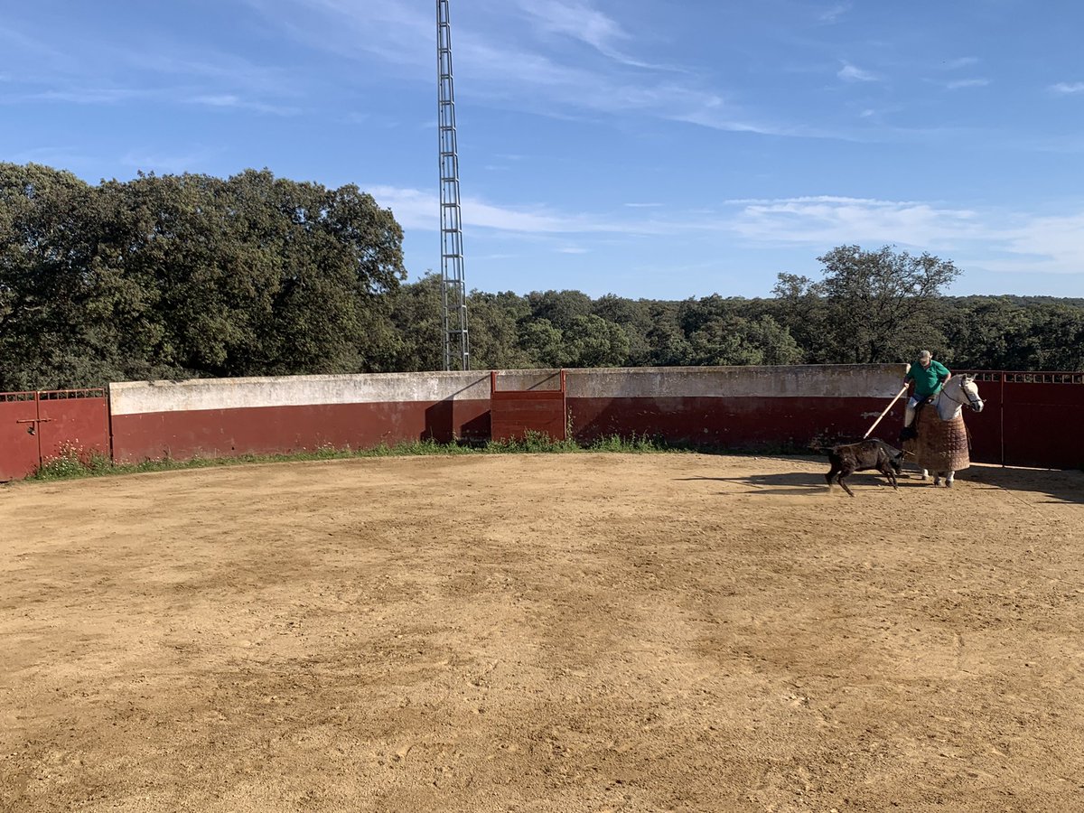 David Lorente tweet media