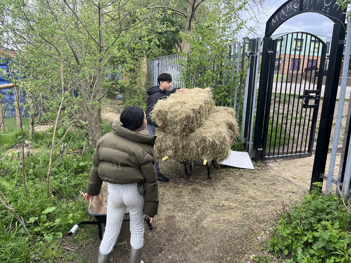 120 hay bales delivered and loaded into the barn by our young volunteers. This will keep us going into the Summer months… we are always looking for donations of hay or straw bales… so please let us know if you can help… #EducationalFarm