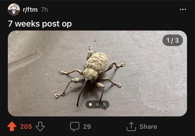 𝑾𝑯𝑬𝑹𝑬’𝑺 𝒀𝑶𝑼𝑹 𝑯𝑬𝑨𝑫 𝑨𝑻 .ᐣ.ᐟ (@humanbehavi0r) on Twitter photo 