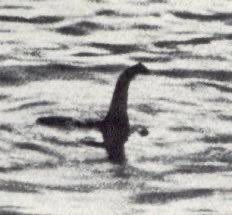 Cryptids: &ldquo;Creatures whose existence is disputed or unsubstantiated by science.&rdquo;  Women: &ldquo;We can&rsquo;t define<a href="/tag/cryptids"class="tags"><span>#cryptids</span></a>