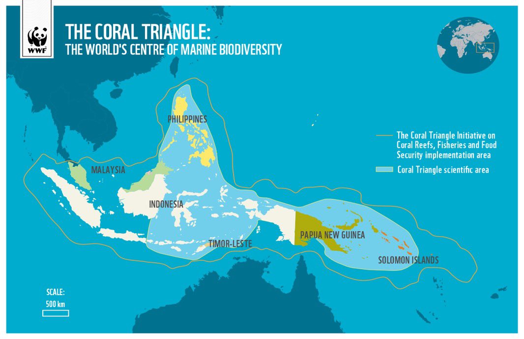 AmericanGeo's tweet photo. #TopoTuesday The Coral Triangle
Dubbed the Amazon Rainforest of the ocean, the Coral Triangle is the most diverse marine ecosystem on the planet. However, the ecosystem is increasingly threatened by climate change and resource extraction.
#coral #geography https://t.co/VCgKjPLBew