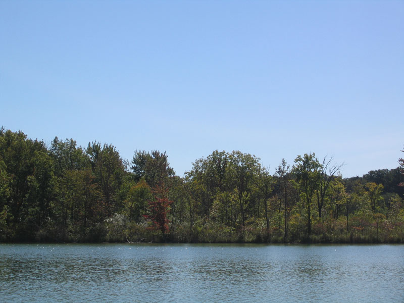 We have guided hikes slated for this weekend (4/20) at three DNR nature preserves. Lead by staff/volunteers, hikes travel in small groups to areas not frequented by the public. Hikes are free, but registration is required.  in.gov/dnr/nature-pre…