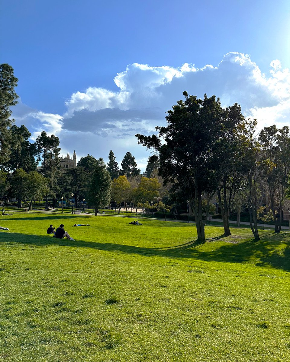 The greenery next to Tongva Steps is a great place to wind down, get some studying done, or hang out with friends! What's your favorite study spot on campus, Bruins?