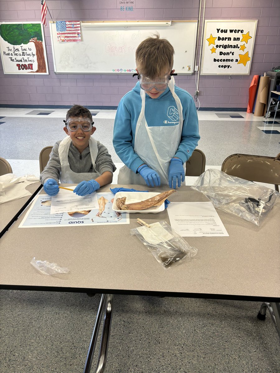 Mrs. Fannon🍎 tweet media