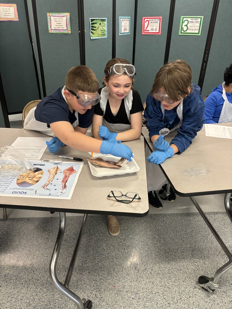 Mrs. Fannon🍎 tweet media