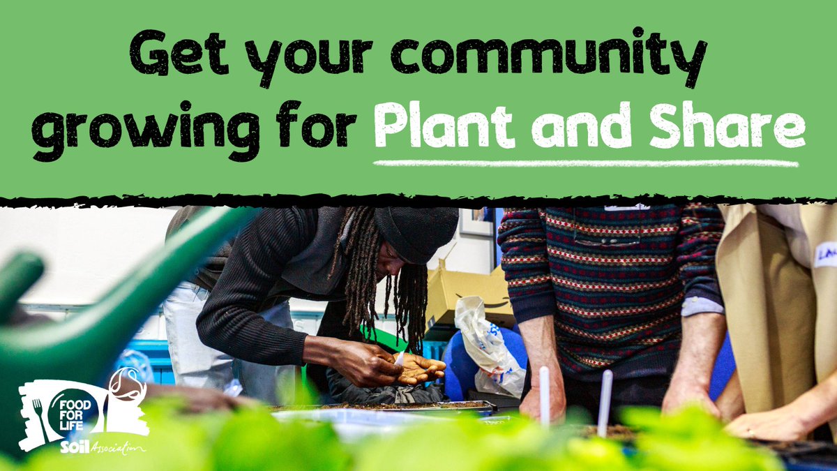 Organising your own community event is a brilliant way to share the #joy of growing 😊🌱 Our free #PlantAndShare resource is for anyone who is setting up their first event or anyone who'd just like a refresher! fflgettogethers.org/media/2tfhajdo…