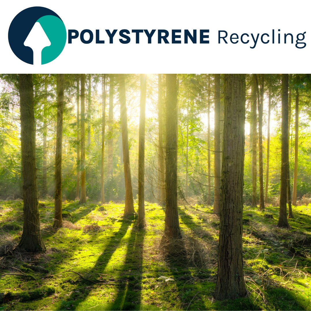 Fact: Recycling one ton of polystyrene saves 17 trees, 3,800 kWh of electricity, and 3.4 cubic yards of landfill space! Your decision to recycle matters. 🌳💡 #SaveResources #PolystyreneRecycling
