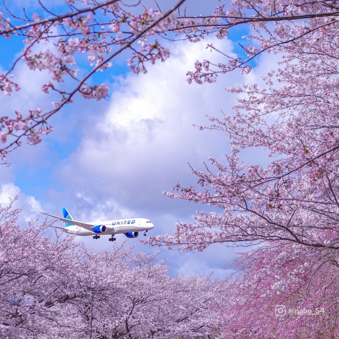 united's tweet photo. Found our color season. 🌸☺️ https://t.co/G4N7VU2J7y