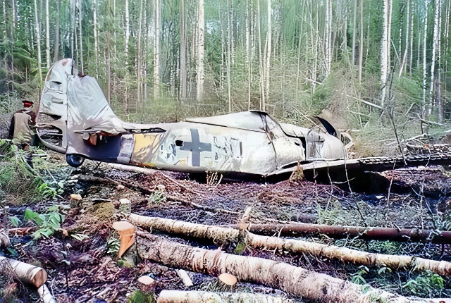 1989 yılında @KursadM63 hocamın arka bahçede bulundu. 😉 Jagdgeschwader 54'e ait Focke-Wulf 190 A5 Saint Petersburg yakınlarında bir ormandaydı. Uçağın pilotu Paul Rätz, 1943 yılında yanına sadece ilk yardım çantası alarak kaza mahallini terk etmişti.