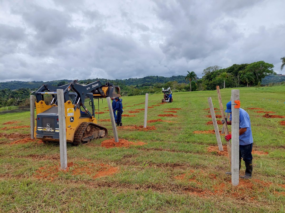Drilling holes on the ground to establish a new dragonfruit field plot for ⁦@IR4_Project⁩ trials. Hope this new concrete posts for the trellis will withstand hurricane force winds 🌪️💨🤞🏼