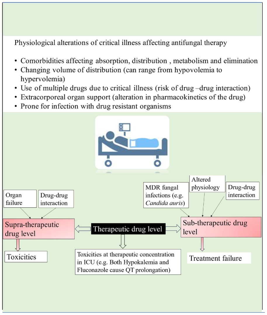 Diagnosis & management of invasive fungal diseases in non-neutropenic ICU patients, focusing on candidiasis & aspergillosis CCR Journal Watch criticalcarereviews.com/latest-evidenc… The latest critical care literature every weekend via the CCR Newsletter - subscribe at criticalcarereviews.com/newsletters/su…