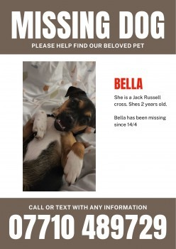 🆘14 APR 2024 #Lost BELLA Black & Tan Jack Russell Terrier Cross Female #Shrivenham Vale of White Horse #Oxfordshire #SN6 doglost.co.uk/dog-blog.php?d…