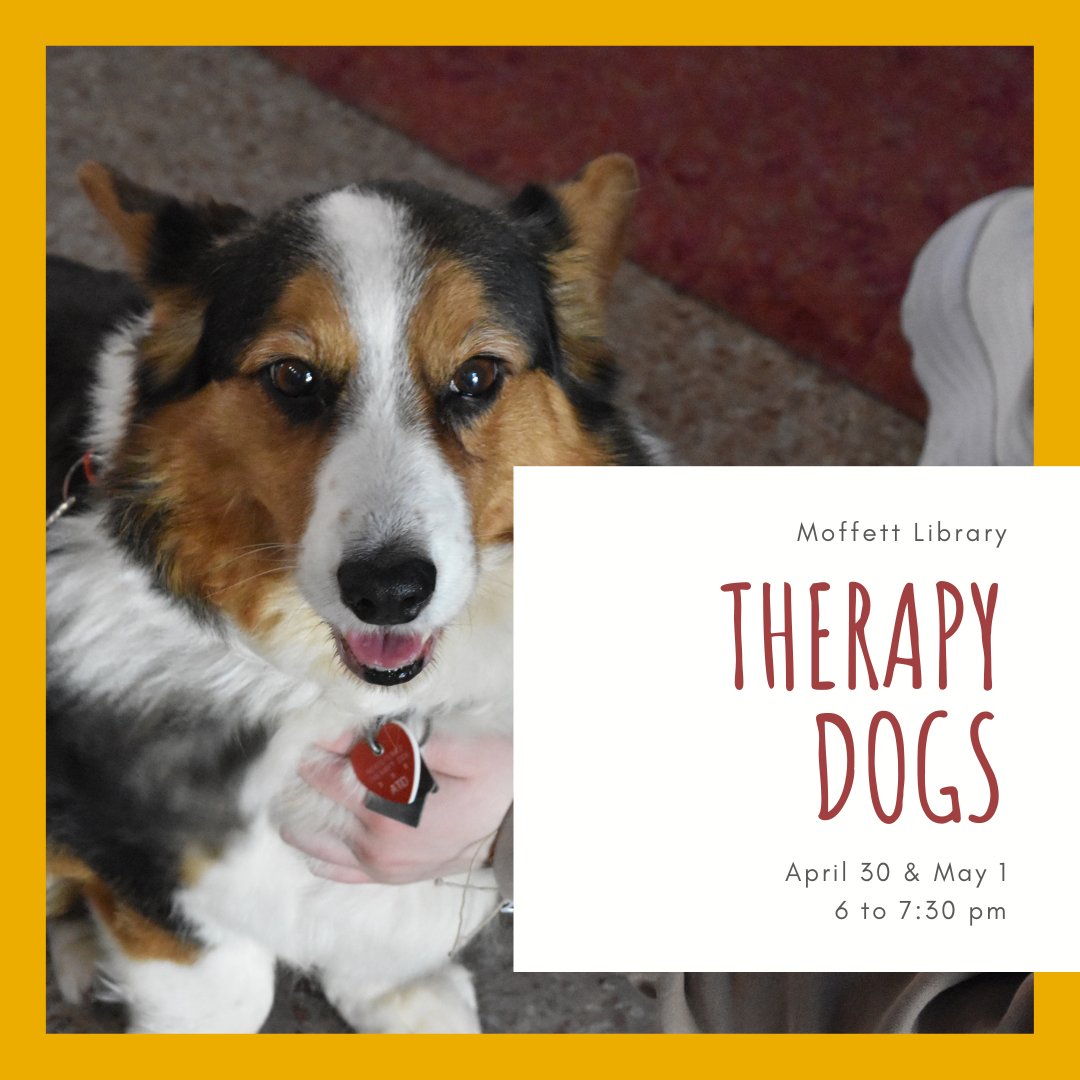 MoffettLibrary's tweet image. The Therapy Dogs are coming back for the last time this semester! Do your finals have you stressed? Come to Moffett Library on Tuesday, April 30 and Wednesday, May 1 from 6 to 7:30 pm to see the dogs.

#msutexas #moffettlibrary #clubmoffett
