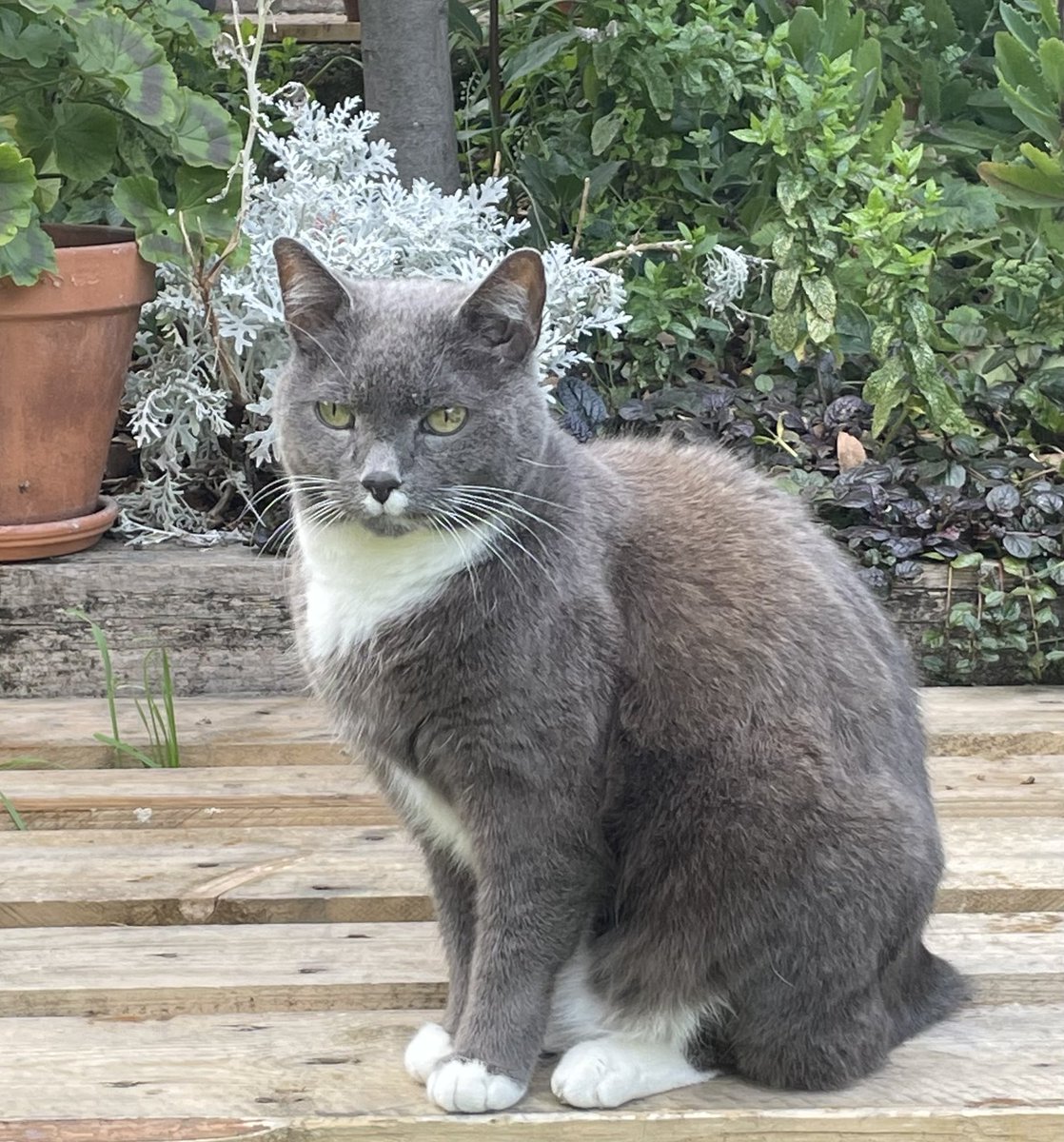 Great chats &amp; insights with ⁦<a href="/dedwardscasting/">Daniel Edwards Casting CDG</a>⁩ Thank you ⁦@YvonneLawlor1⁩ for a lovely relaxed meet. #castingdirectors please follow Daniel’s lead.In person so much better than #selftape Added bonus meeting #Mavis the dog. Daniel, this is Dusty. 😉