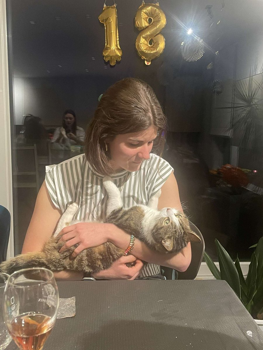 majeu 🦋 (@vlindermajeu) on Twitter photo 