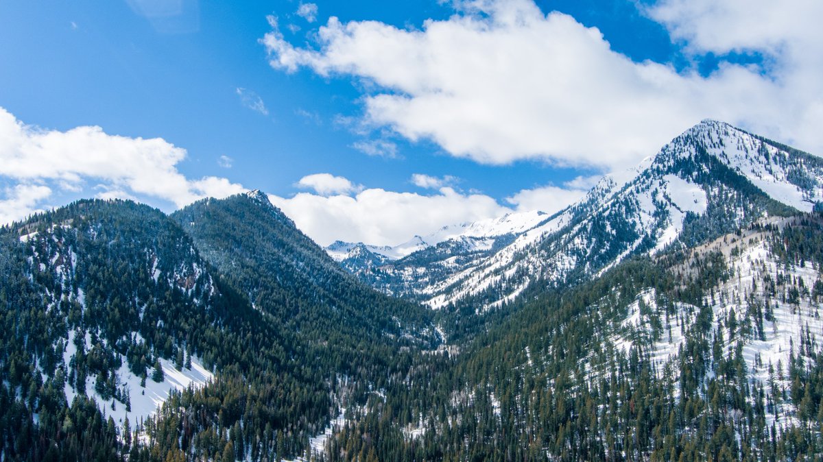 ThomasGeboyWX's tweet photo. Be-UTAH-full views from Big Cottonwood Canyon this morning. Thanks to @cajaaw for sharing! #utwx

@alanabrophywx @NateLarsenWX @abc4utah @UtahIsAwesome @spann @StormHour @SnowHour @SkiUtah https://t.co/2Yfk2fbgDt
