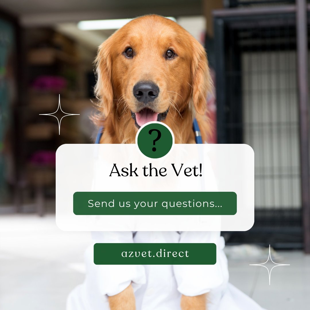 Got questions about pet surgery? 🐾 Ask away! 🩺 Our experts will answer in upcoming posts. From prep to recovery, we've got you covered. Let's dive in and demystify pet surgery! 💬 #AskTheVet #PetSurgeryFAQ