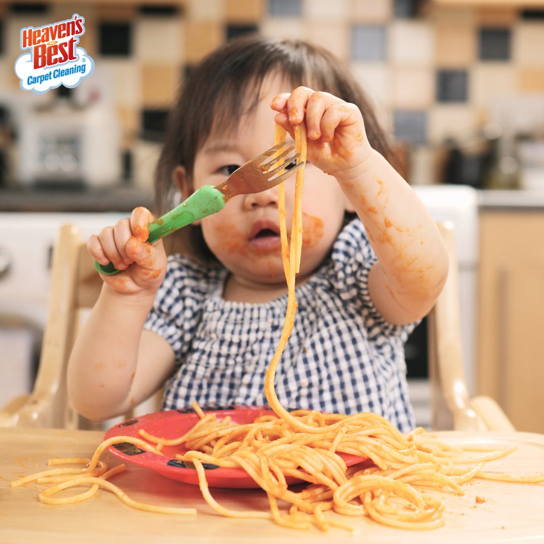 Is your little one just beginning to learn the art of eating with utensils? 🍝 Don't sweat the spills - we've got your back! Book your floor cleaning with Heaven's Best today!

(925) 969-7885
antiochca.heavensbest.com

#heavensbest #carpetcleaning #floorcleaning