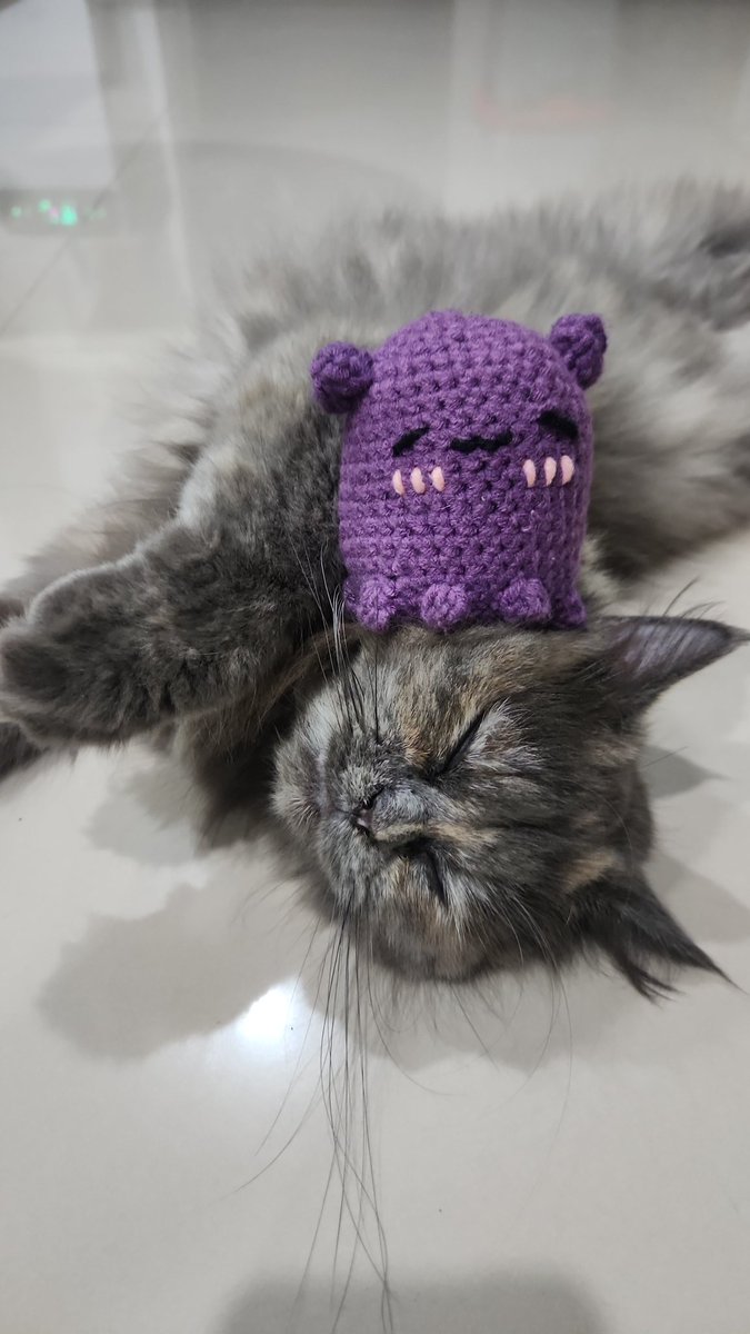 HadiSukiwi's tweet photo. Bingung mau ngapain 😌

Takodachi on da cat yo https://t.co/cU1cgPL5Xb